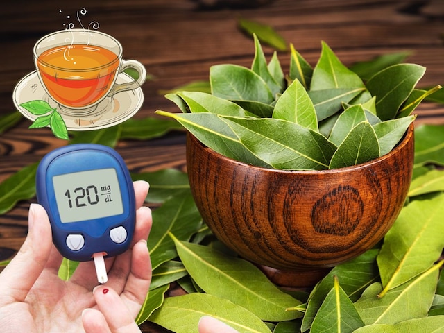 If you are a diabetes patient, then drink this leaf tea in the morning, will never increase sugar ... If you are a diabetes patient, then drink this leaf tea in the morning, will never increase sugar ...
