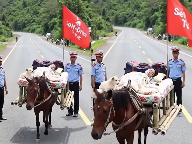 सेल्फ ड्राइव टूर का किया अनूठा जुगाड़, घोड़े पर ही लगा डाला बिस्तर! सेल्फ ड्राइव टूर का किया अनूठा जुगाड़, घोड़े पर ही लगा डाला बिस्तर!