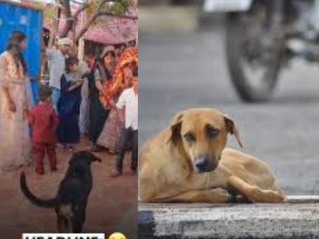 घर के बाहर किया इंतजार, फिर विदाई में ली एंट्री, दुल्हन से लिपटा खास दोस्त