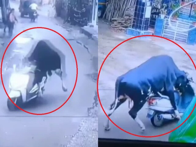 सड़क किनारे खड़ी थी स्कूटी, अचनाक हो गई गायब, चोर को देखते ही छूट गई हंसी!