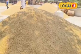 धान के ढेर, लेकिन कीमतें औंधे मुंह! मंडी में किसान बोले...मेहनत गई मिट्टी में