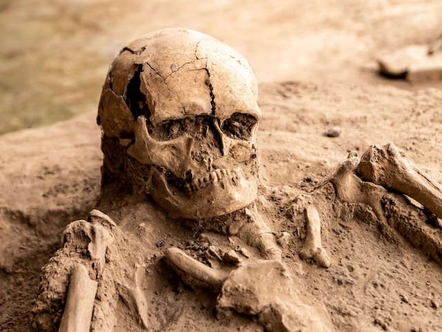 कंकालों का द्वीप, जहां हैं हड्डियां ही हड्डियां, बिखरे पड़े हैं दांत!