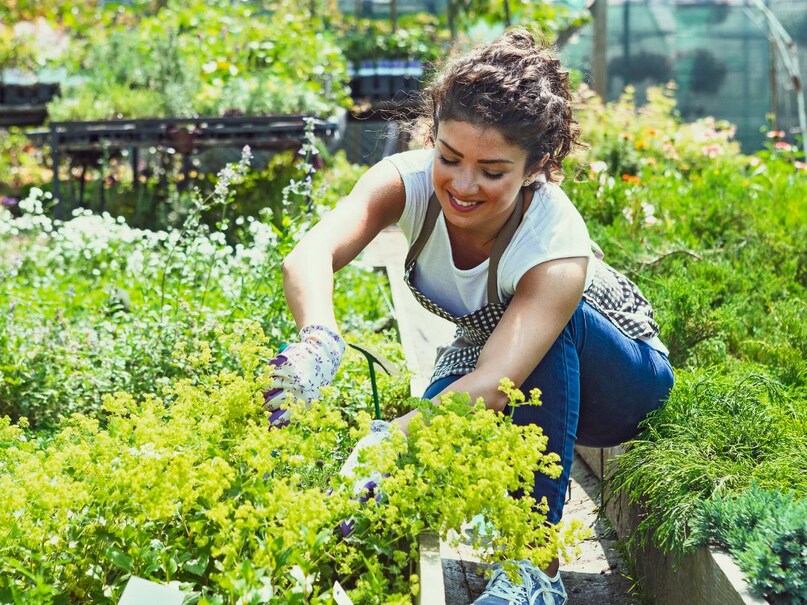 In the news of HT, nutritionist Nupur Shankhala says that if you want to live a healthy life, then plant vegetables and medicine in your homes yourself. With this, your house will also be clean and health will also be better. Image: Canva In the news of HT, nutritionist Nupur Shankhala says that if you want to live a healthy life, then plant vegetables and medicine in your homes yourself. With this, your house will also be clean and health will also be better. Image: Canva