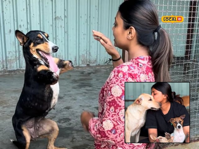 कुत्तों की सेवा के लिए छोड़ दिया डॉक्टर बनने का सपना! MBBS छोड़ा, लोन लेकर... कुत्तों की सेवा के लिए छोड़ दिया डॉक्टर बनने का सपना! MBBS छोड़ा, लोन लेकर...