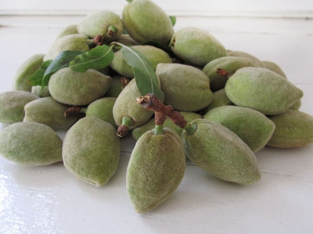 Green or brown, which almond is more beneficial? What time should it be eaten Green or brown, which almond is more beneficial? What time should it be eaten