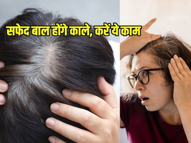 क्या समय से पहले बालों का सफ़ेद होना रोक सकते हैं? 6 महीने फॉलो करें आयुर्वेदिक डॉक्टर के ये टिप्स, बाल रहेंगे काले