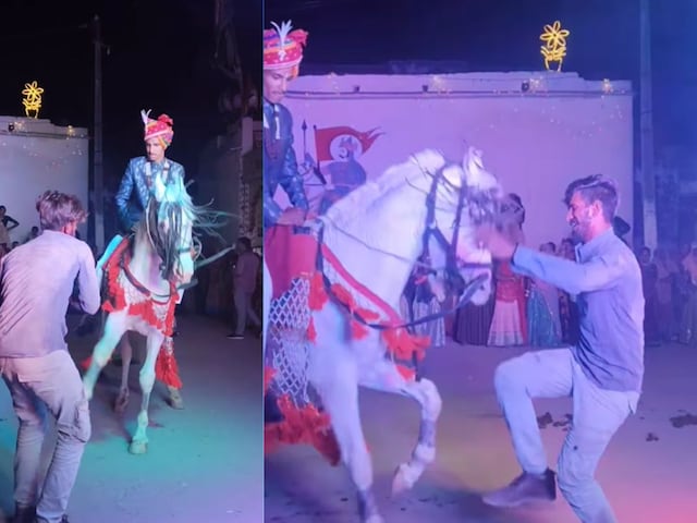 बारात में घोड़ी ने किया शानदार डांस, मालिक के साथ दिखाई जबरदस्त जुगलबंदी बारात में घोड़ी ने किया शानदार डांस, मालिक के साथ दिखाई जबरदस्त जुगलबंदी