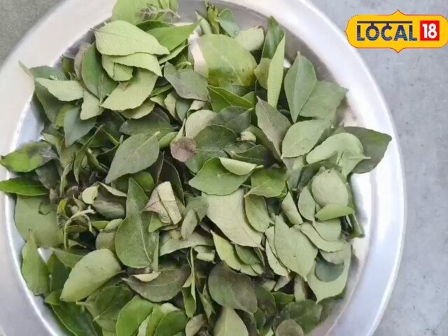 ये है आपकी रसोई का सुपरफूड! मीठी नीम के हैं इतने फायदे कि जानकर आप भी रोज खाने लगेंगे