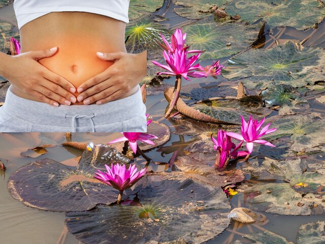 This flower growing in kitchen is a boon for health, cools the body from inside