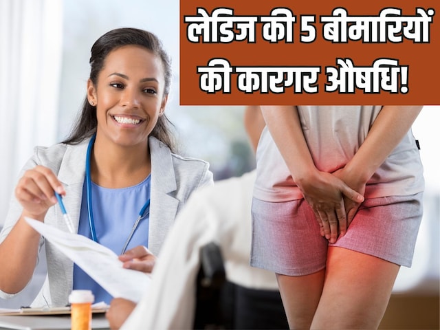 पीरियड पेन या वाइट डिस्चार्ज...महिलाओं की इन 5 बीमारियां में रामबाण है ये छाल!