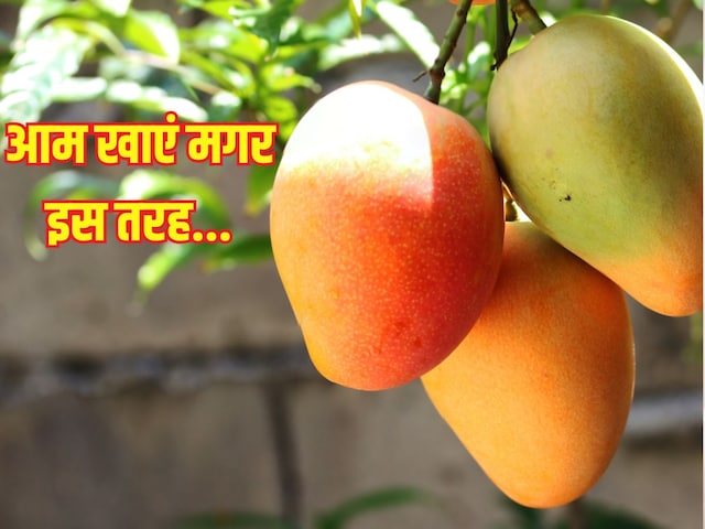 आम काटकर खाएं या जूस पिएं, भिगोकर खाना चाहिए या फिर…90% लोग करते हैं Mango का गलत तरीके से सेवन तभी बढ़ता है शुगर लेवल