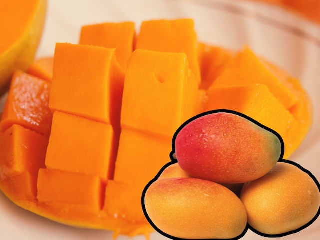 Does mango eat increase diabetes and obesity? Learn the truth from the new Does mango eat increase diabetes and obesity? Learn the truth from the new