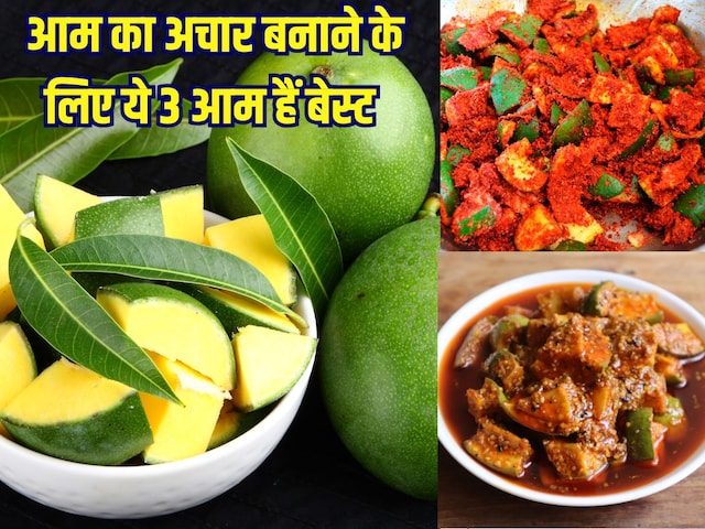 आम का अचार बनाने के लिए ये 3 Mango हैं बेस्ट, बनेगा स्वादिष्ट Pickle आम का अचार बनाने के लिए ये 3 Mango हैं बेस्ट, बनेगा स्वादिष्ट Pickle