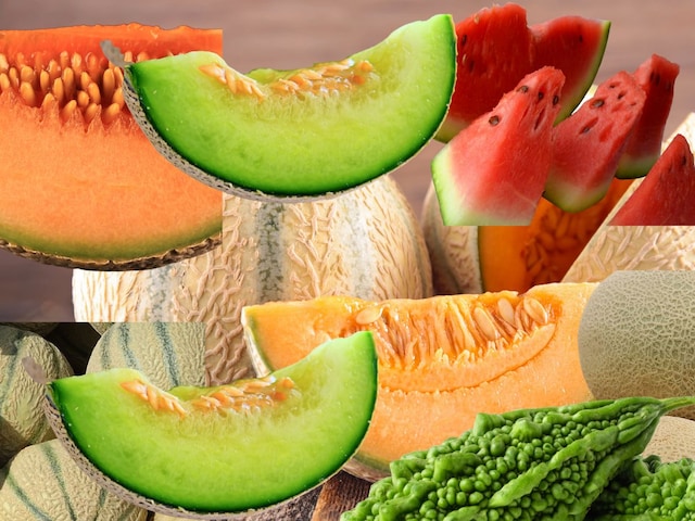 Not only watermelon is the enemy of heat, these 5 fruits filled with water, cold in the body Not only watermelon is the enemy of heat, these 5 fruits filled with water, cold in the body