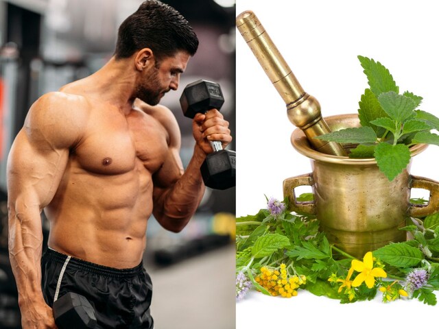 छोड़िए प्रोटीन पाउडर, बाजार में मिलने वाली ये घास-फूस खा लीजिए ! मसल्स में आ जाएगी फौलादी पावर