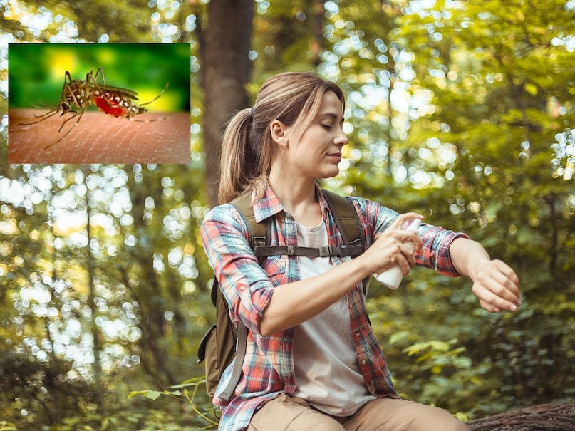 Mosquito Home Remedies: Mosquito Home Remedies: