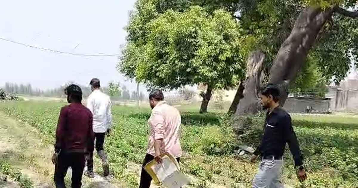 Sambhal 326 beegha worth in rs 13 crore government land distributed among 55 people four employees of chakbandi department arrested:संभल में 13 करोड़ की सरकारी जमीन घोटाला, चार कर्मचारी गिरफ्तार.