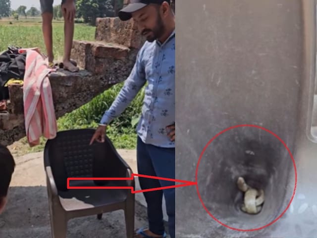 कुर्सी से अजीब आवाजें आ रही थीं, मांस का मांस पहले देखा गया था, हिल गया और उड़ गया