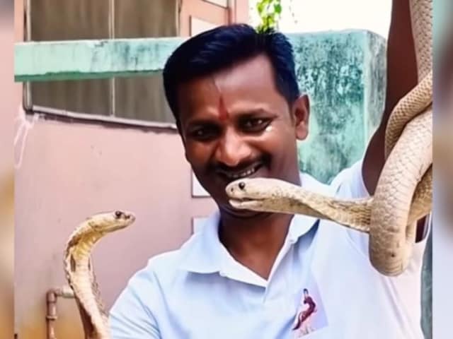 जिस नाग वंश की रक्षा की खाई थी कसम स्नेक मैन को उसी कुनबे के संपोले ने डस लिया जिस नाग वंश की रक्षा की खाई थी कसम स्नेक मैन को उसी कुनबे के संपोले ने डस लिया