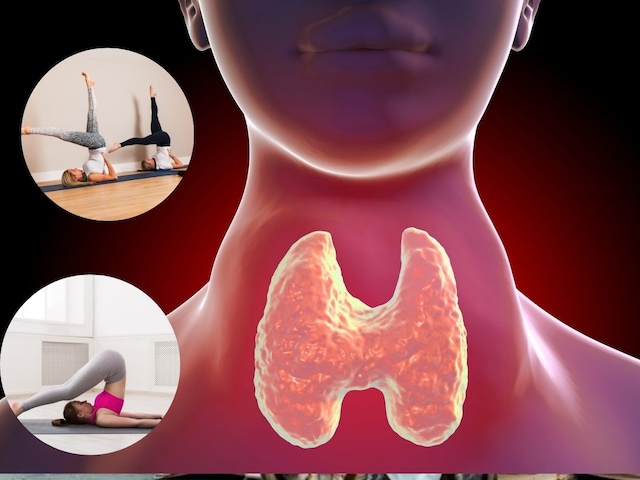 Yoga For Thyroid :थायरॉयड ग्रंथी का रखना है हेल्दी तो रोज जरूर करें ये 2 योगाभ्यास, जानें अभ्यास का सही तरीका Yoga For Thyroid :थायरॉयड ग्रंथी का रखना है हेल्दी तो रोज जरूर करें ये 2 योगाभ्यास, जानें अभ्यास का सही तरीका