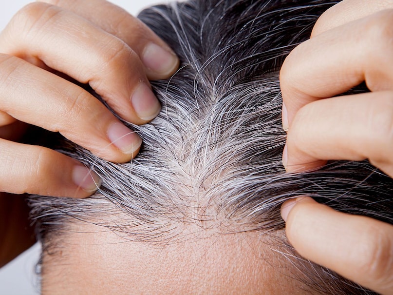 Natural Hair Dye, Homemade Hair Color, Black Hair Remedies, Herbal Hair Dye, Prevent White Hair, Natural Hair Dio, House Hair Die, Hair Color, White Hair Treatment, Hour Hair Dio, Herbal Hair Dio