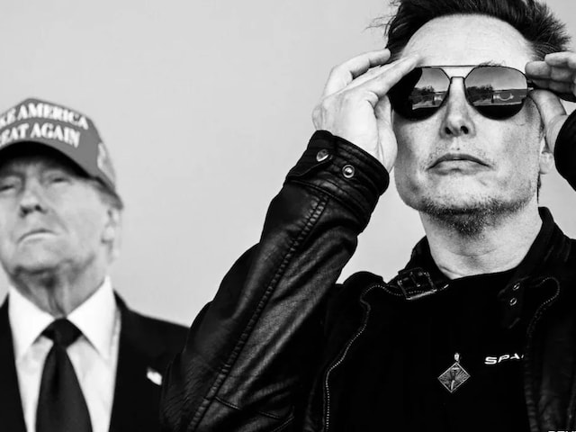 Alan Musk will be the President of America! Time traveler's prediction caused a stir Alan Musk will be the President of America! Time traveler's prediction caused a stir