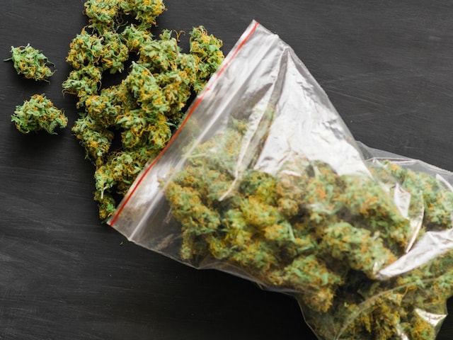 weed-pic-2025-05-0df12ab483c136eaed0867e3b7ac148b Police burnt 20 tons of cannabis, the whole city became addicts, no addiction for 5 days, it is difficult to get out!