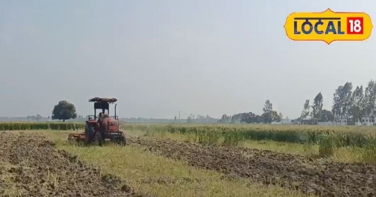 Agriculture News: फसल से दोगुना मुनाफा चाहिए? गर्मियों में खेतों की इस तरह करें जुताई और पाएं बंपर उत्पादन!