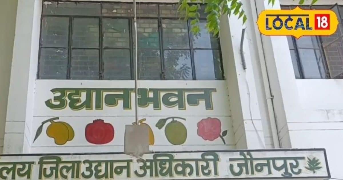 छोटे उद्यमियों के लिए बड़ी खुशखबरी! सिर्फ 10% निवेश पर शुरू करें खाद्य उद्योग, सरकार दे रही मोटी सब्सिडी