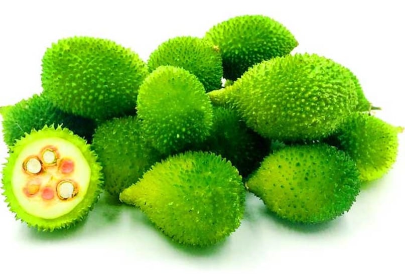 Kantola, Kakora, Kikoda or Kakoda, Benefits of Bod Kakora, monsoon vegetables, how to make vegetables like mutton, Bod Kakorai, Kantola Vegetable Benefits, Spine Gourd Recipe in Hindi, Kakarola Vegetable Recipe, Sabzi Recipe for Weight Loses, HIGH DROTEIN SDANANAN vegetable Kantola, Kakora, Kikoda or Kakoda, Benefits of Bod Kakora, monsoon vegetables, how to make vegetables like mutton, Bod Kakorai, Kantola Vegetable Benefits, Spine Gourd Recipe in Hindi, Kakarola Vegetable Recipe, Sabzi Recipe for Weight Loses, HIGH DROTEIN SDANANAN vegetable