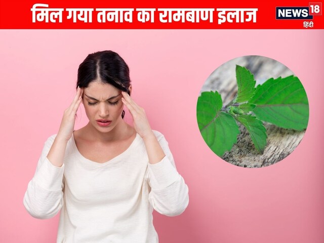 Taste of tension, chew only 3 leaves, 40 minutes will come down the cortisol