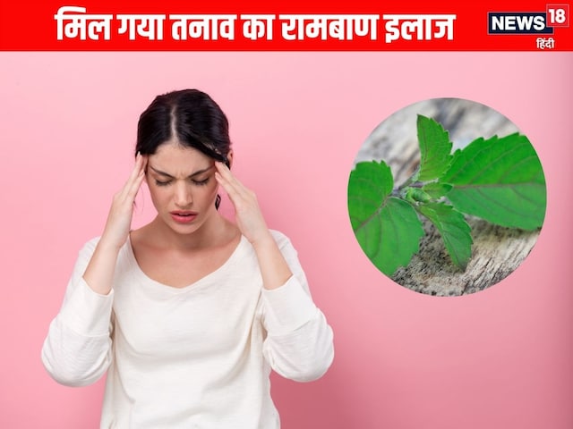 Taste of tension, chew only 3 leaves, 40 minutes will come down the cortisol Taste of tension, chew only 3 leaves, 40 minutes will come down the cortisol