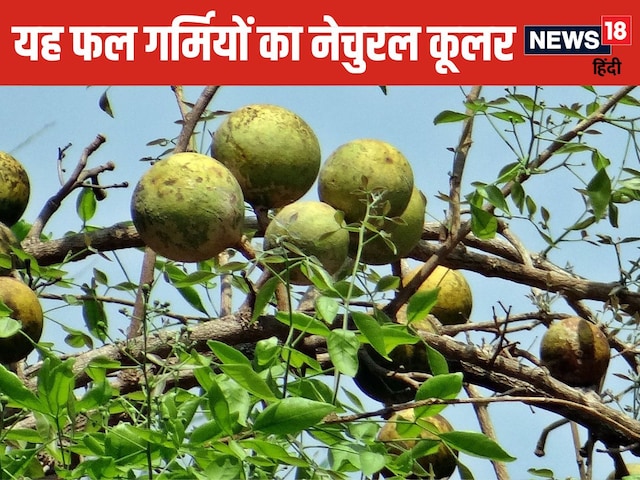 This fruit gets only 90 days in a year! Drinking its syrup is very miraculous This fruit gets only 90 days in a year! Drinking its syrup is very miraculous