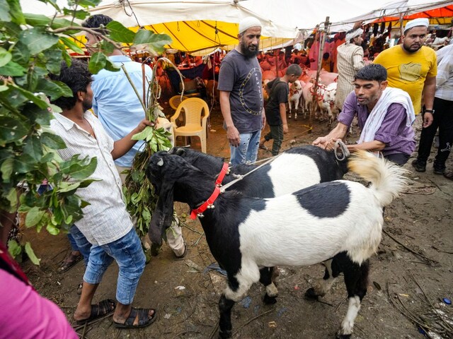 असीम वक़ार का बकरीद पर बयान, कहा- बकरीद पर ही जीव हत्या का जिन्न आता है बाहर