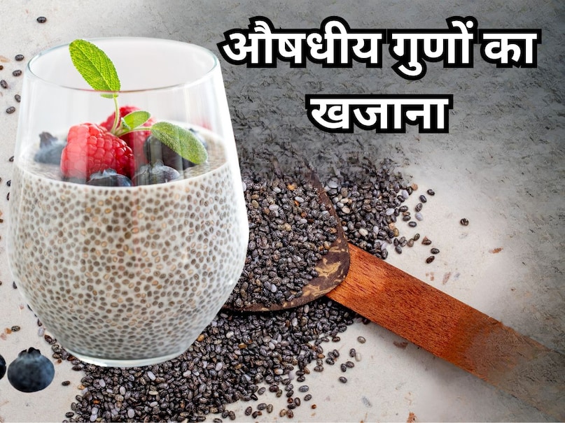7 चीजों में दूध से कई गुना ज्यादा कैल्शियम, खाने से हड्डियों में आएगी स्टील जैसी ताकत, मसल्स में बनेंगे बाइसेप्स 7 चीजों में दूध से कई गुना ज्यादा कैल्शियम, खाने से हड्डियों में आएगी स्टील जैसी ताकत, मसल्स में बनेंगे बाइसेप्स