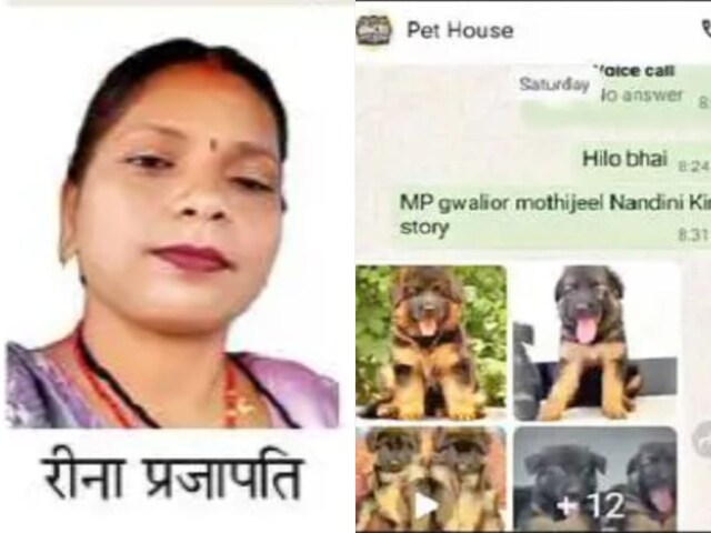 ग्वालियर में ऑनलाइन 'डॉगी डील' बनी मौत की वजह! महिला ने OTP शेयर किया, फिर...