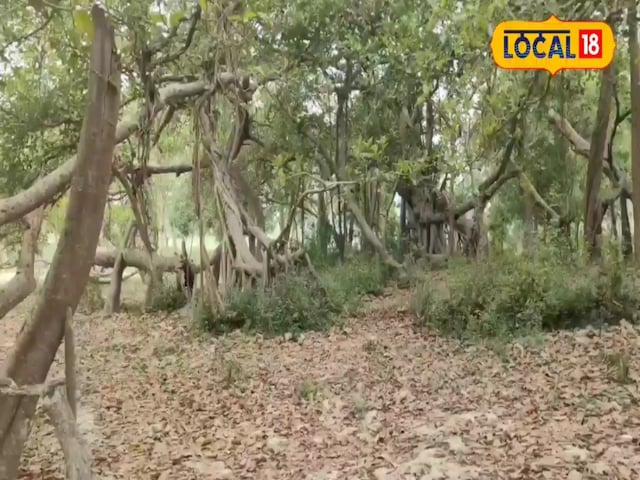 इस इस