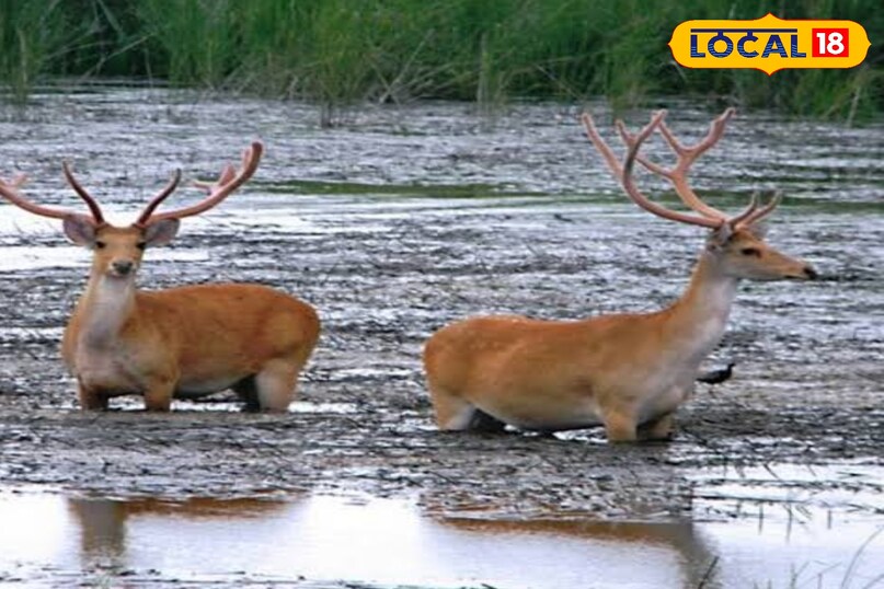 किशनपुर किशनपुर