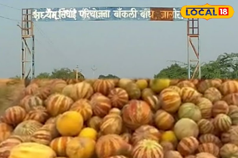 जलोर के बांध के साथ बांध के साथ उगने वाले 'काजली' का अद्भुत, देसी मेलसन ने गुजरात-महाराष्ट्र का दिल जीता ... बंजर भूमि के साथ इतिहास बनाया जलोर के बांध के साथ बांध के साथ उगने वाले 'काजली' का अद्भुत, देसी मेलसन ने गुजरात-महाराष्ट्र का दिल जीता ... बंजर भूमि के साथ इतिहास बनाया