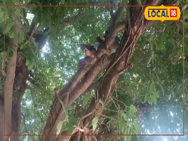 पूर्णिया पूर्णिया