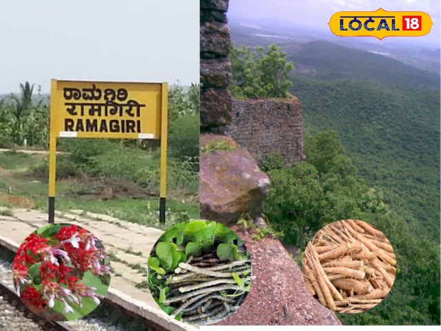 Drug plants are found here… This forest is just a short distance from Hyderabad, Drug plants are found here… This forest is just a short distance from Hyderabad,
