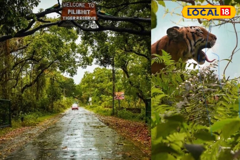 Pilibhit, Pilibhit Tiger Reserve 