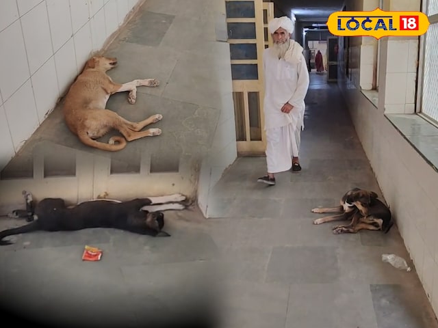 सरकार
