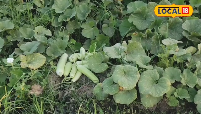 अलविदा