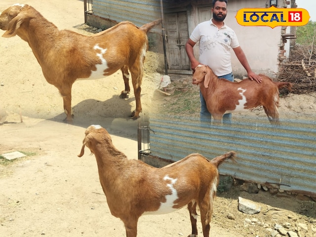 अल्लाह अल्लाह