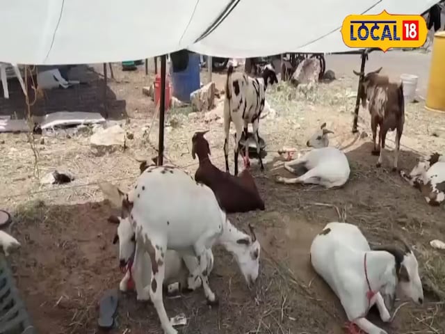 Bakrid Bakrid