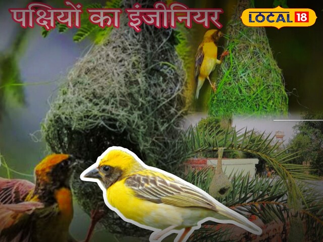 आयु