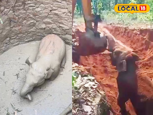 रायगढ़ रायगढ़