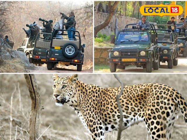 22 KM का ट्रैक, 22 तेंदुए... सेलिब्रिटी भी इस जगह पर फिदा, जानें नई सफारी का.. 22 KM का ट्रैक, 22 तेंदुए... सेलिब्रिटी भी इस जगह पर फिदा, जानें नई सफारी का..