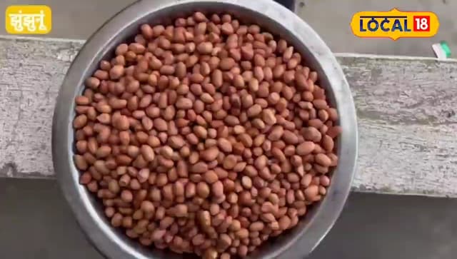 मूंगफली मूंगफली